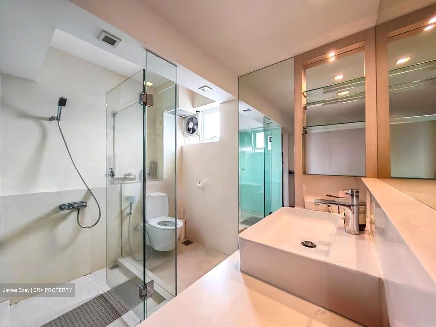 Blk 69 Moulmein View (Bukit Timah), HDB 4 Rooms #623584051